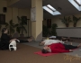 Joga-nidra